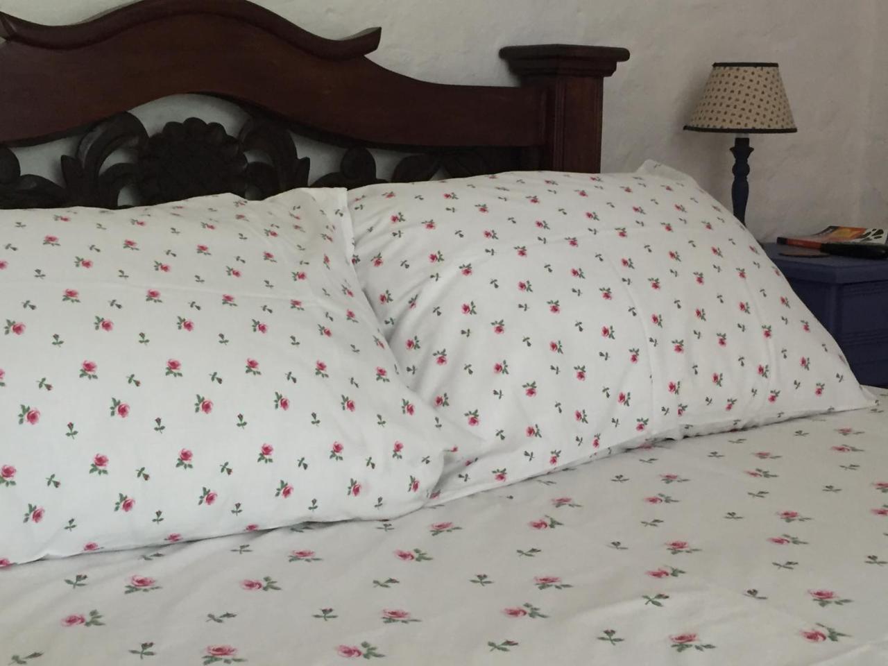 Hotel Casona Las Juanas San José de Pare 外观 照片