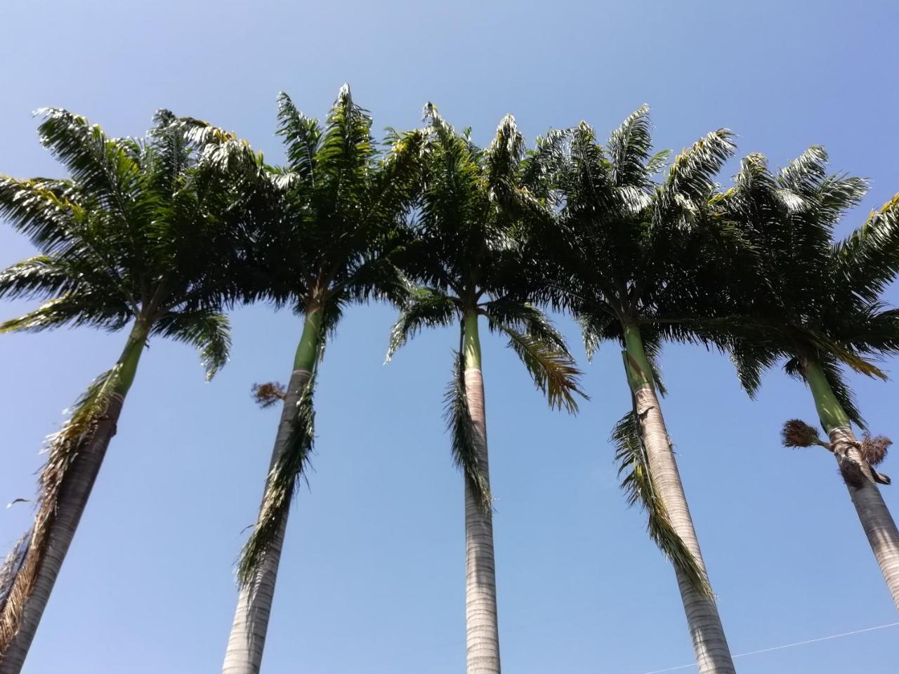 Hotel Casona Las Juanas San José de Pare 外观 照片